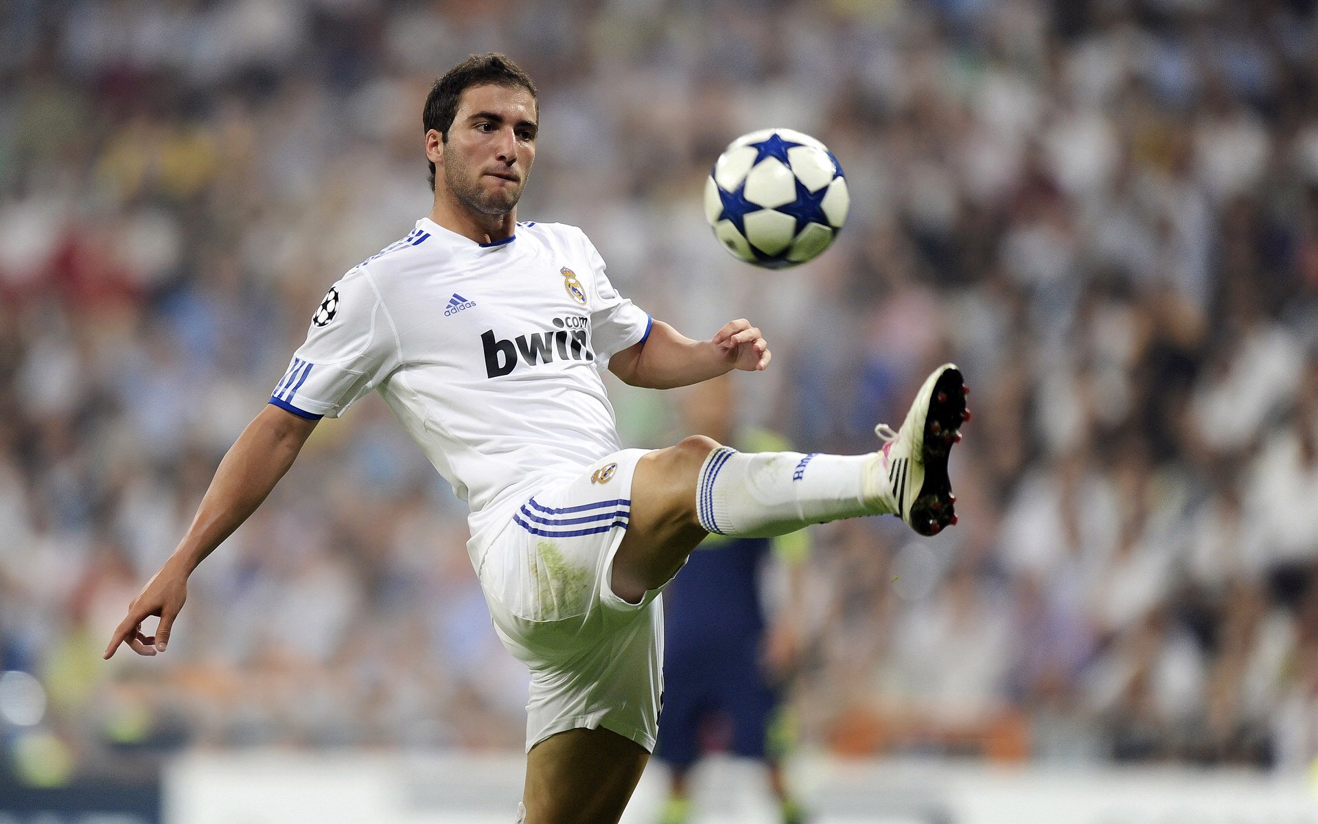 KAIYUN 中国大陆-国际田径赛事落地中国城市带动区域发展，国际田径比赛项目